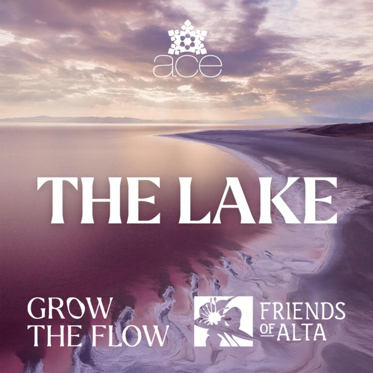 The Lake
