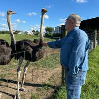 A Kentucky man with a meat allergy was craving a burger. So he got into ostrich farming