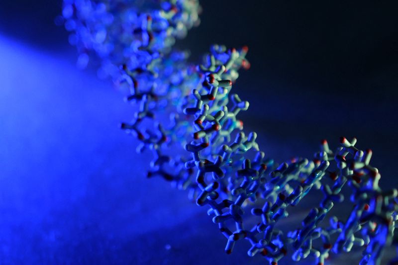 A 3D printed DNA Helix model is seen in this illustration taken February 4, 2026.
