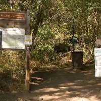 Utahns flock to Millcreek Canyon for affordable Labor Day getaway