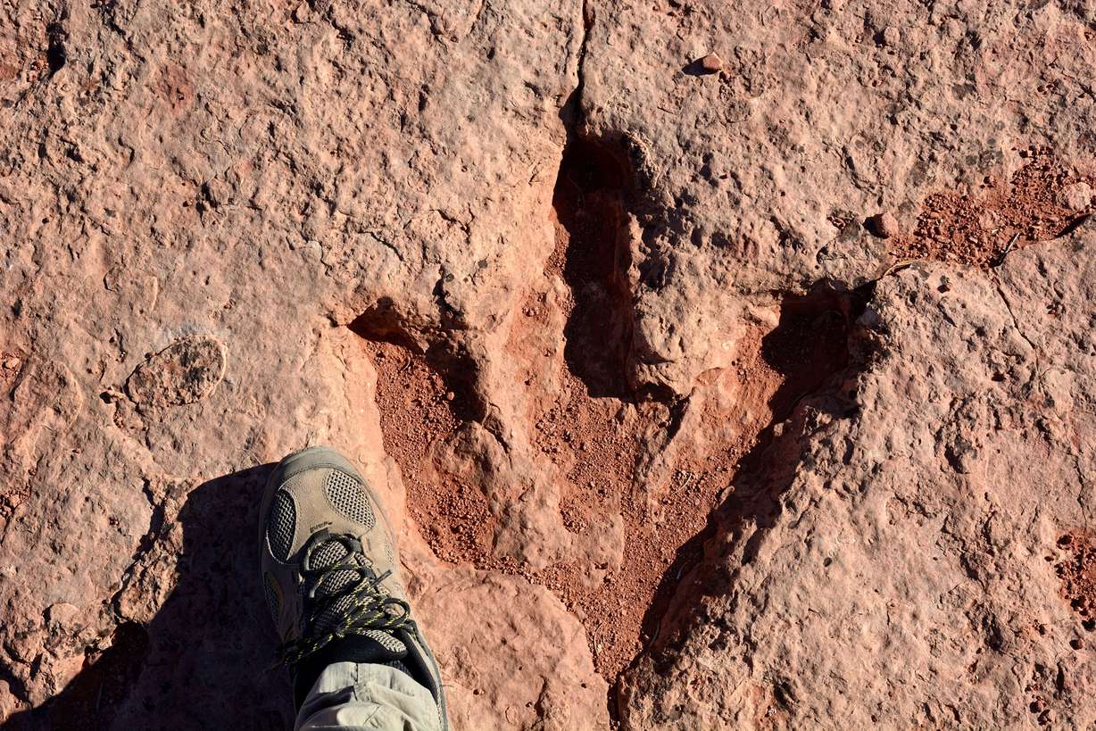 Flag Point Dinosaur Track Site, Utah.