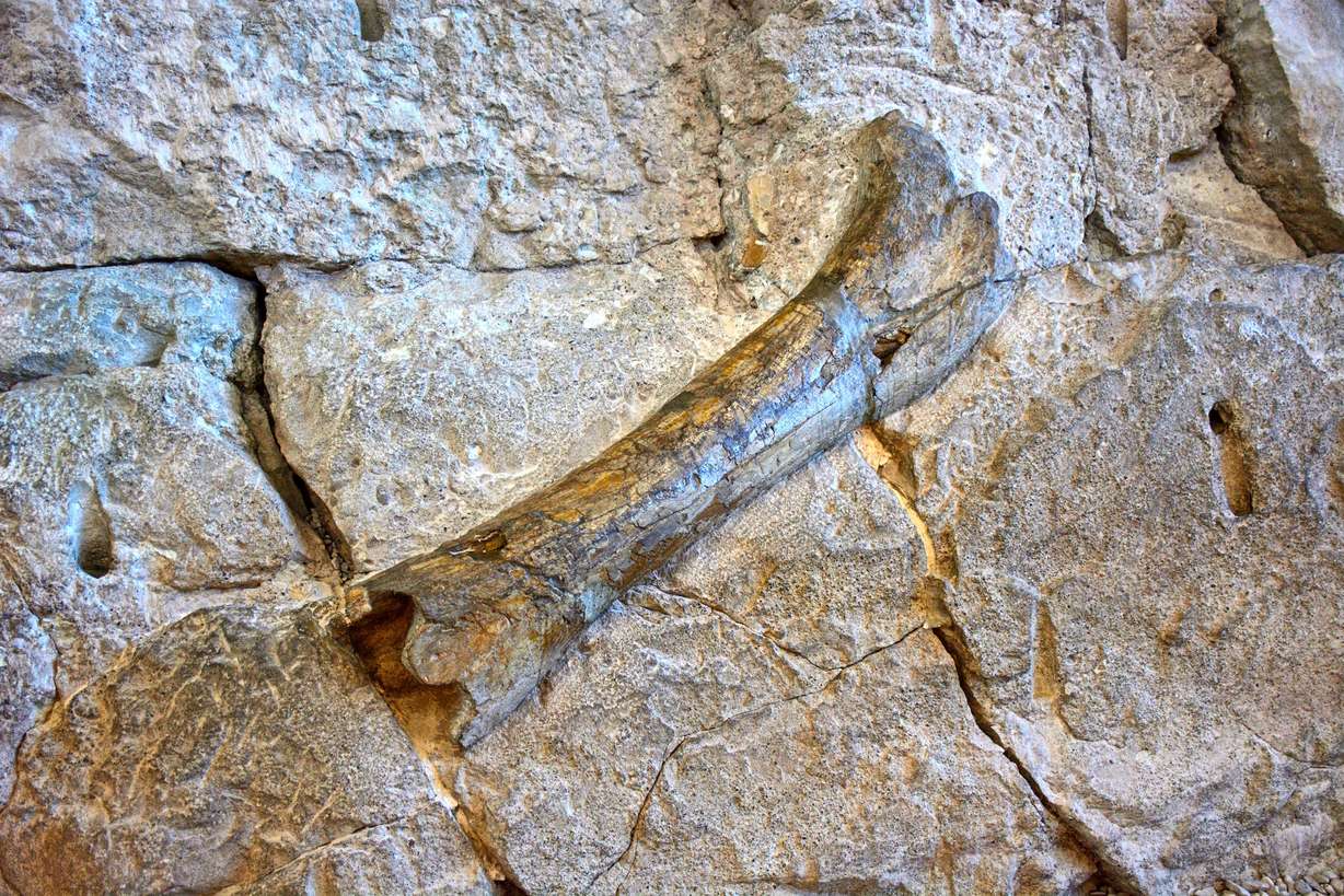 10 reasons Utah is the world's best dinosaur destination