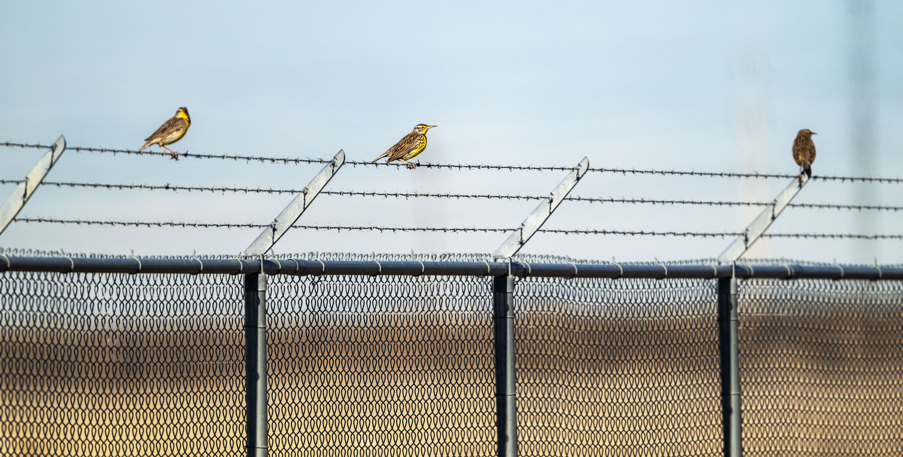 Why Salt Lake City is seeking to sell over 950 acres near its airport to the state