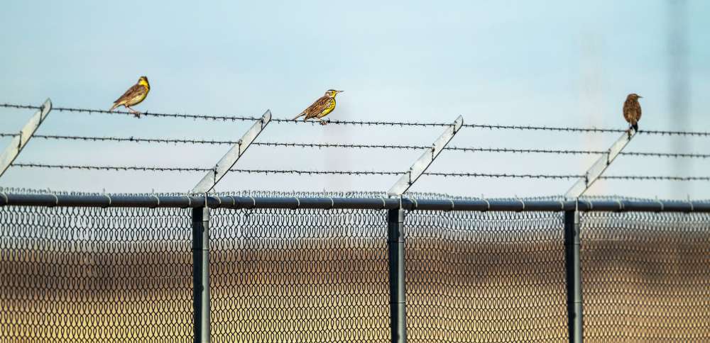 Why Salt Lake City is seeking to sell over 950 acres near its airport to the state
