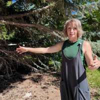 Homeowners ask Logan City to prove right-of-way as project encroaches on property
