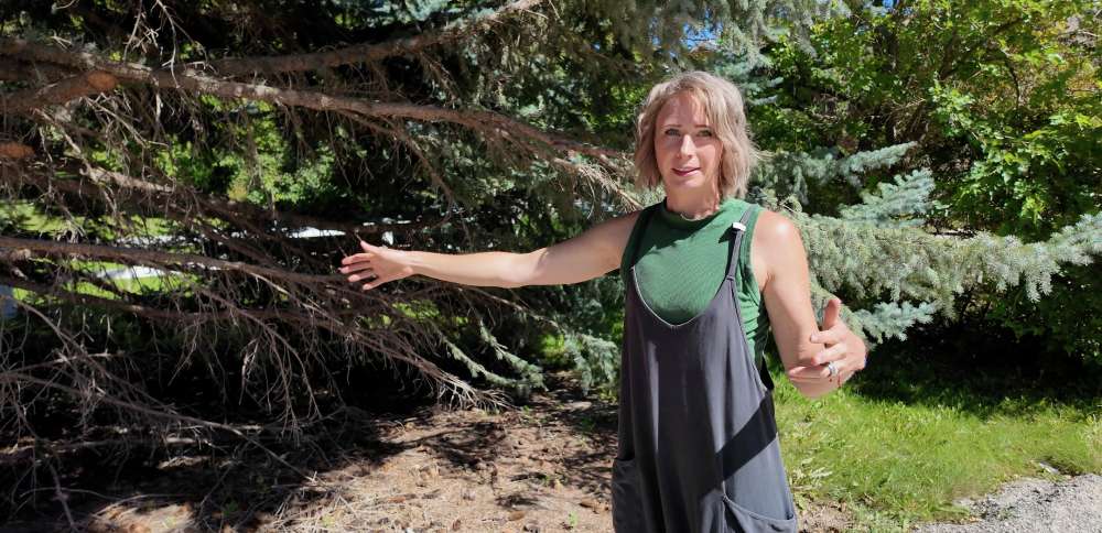 Homeowners ask Logan City to prove right-of-way as project encroaches on property