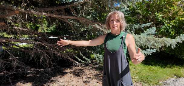 Homeowners ask Logan City to prove right-of-way as project encroaches on property