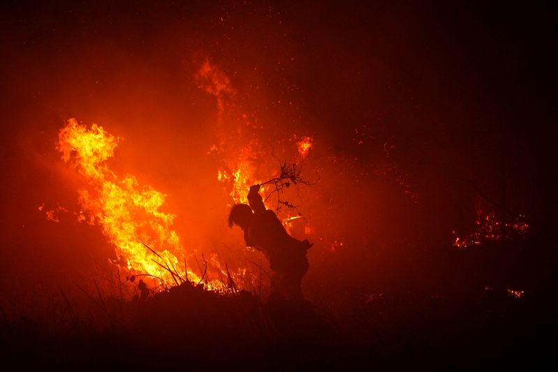 A firefighter uses a tree branch to try and douse the flames amid a wildfire in Palembang, South Sumatra province, Indonesia, September 8, 2026.