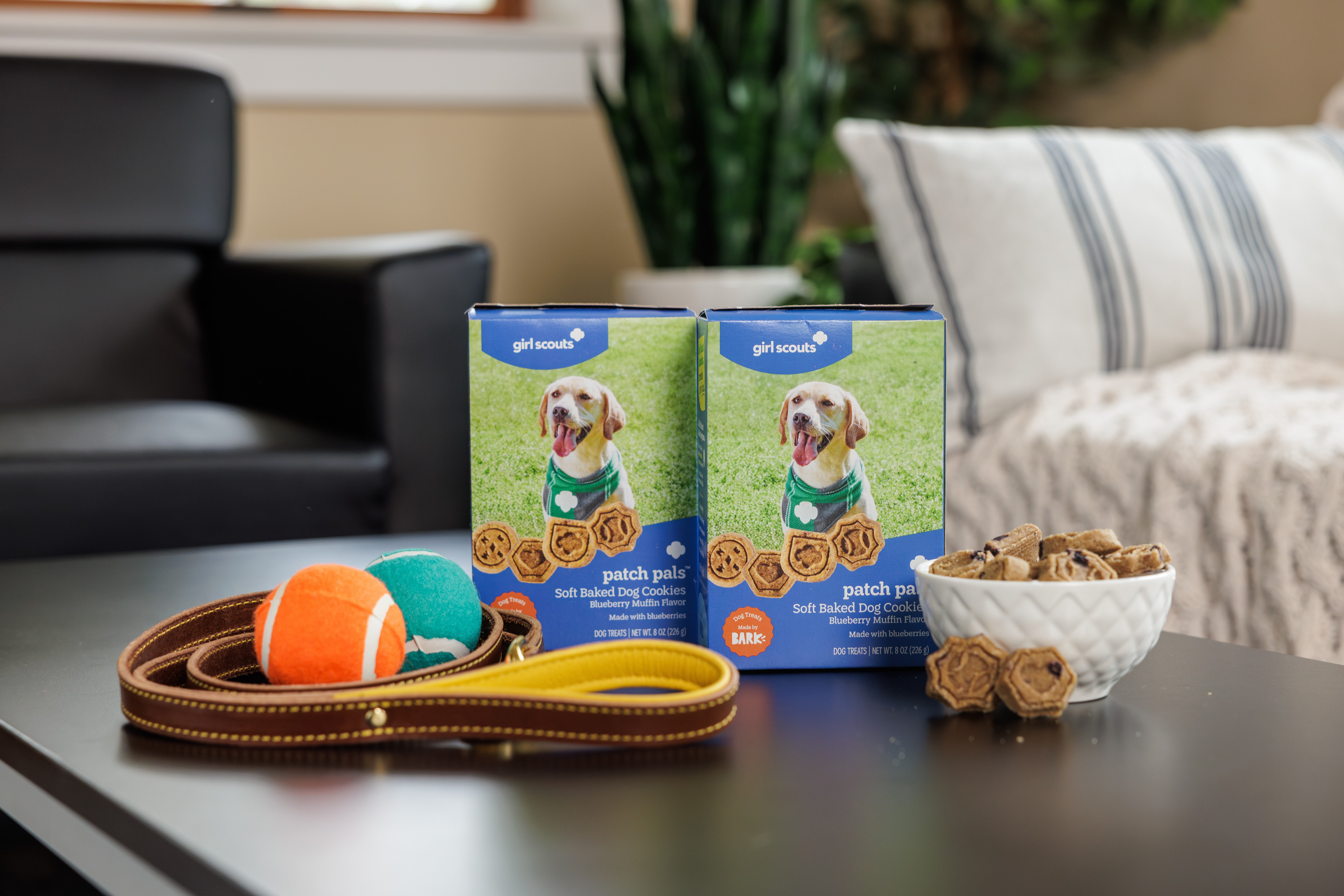 Girl Scouts' first cookies for dogs will go on sale in January