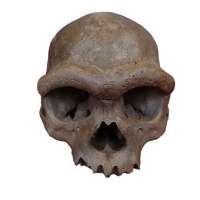 Cave fossils in China reveal lives of mysterious human relatives