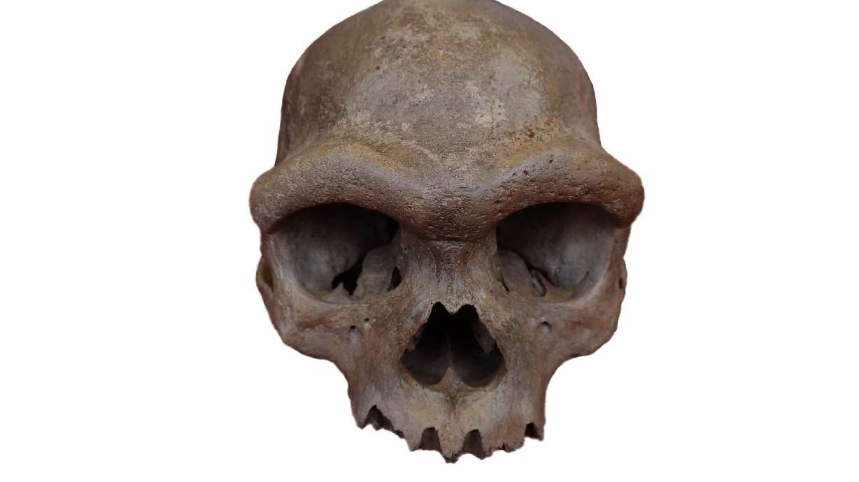 Genetic material from a striking skull stashed from a well in northeastern China has put a face on the Denisovans.