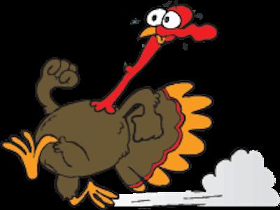 Smithfield Holiday Turkey Trot 2026