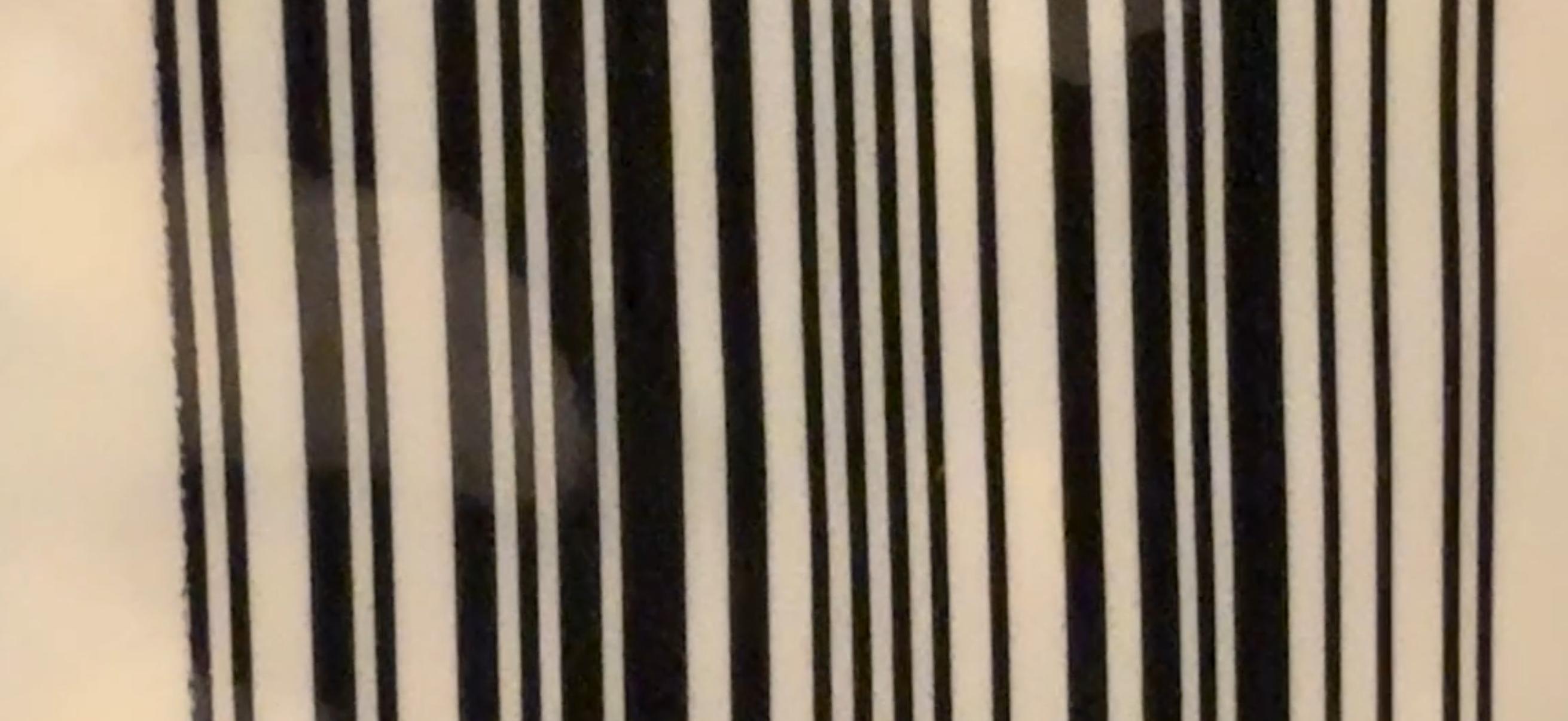The barcode is changing: What 'Sunrise 2027' means for Utah shoppers