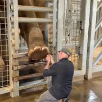 Have You Seen This? Elephant gets daily pedicures