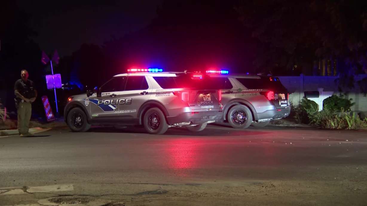 One person is in police custody after officers responded to a domestic violence call in Millcreek Wednesday night.