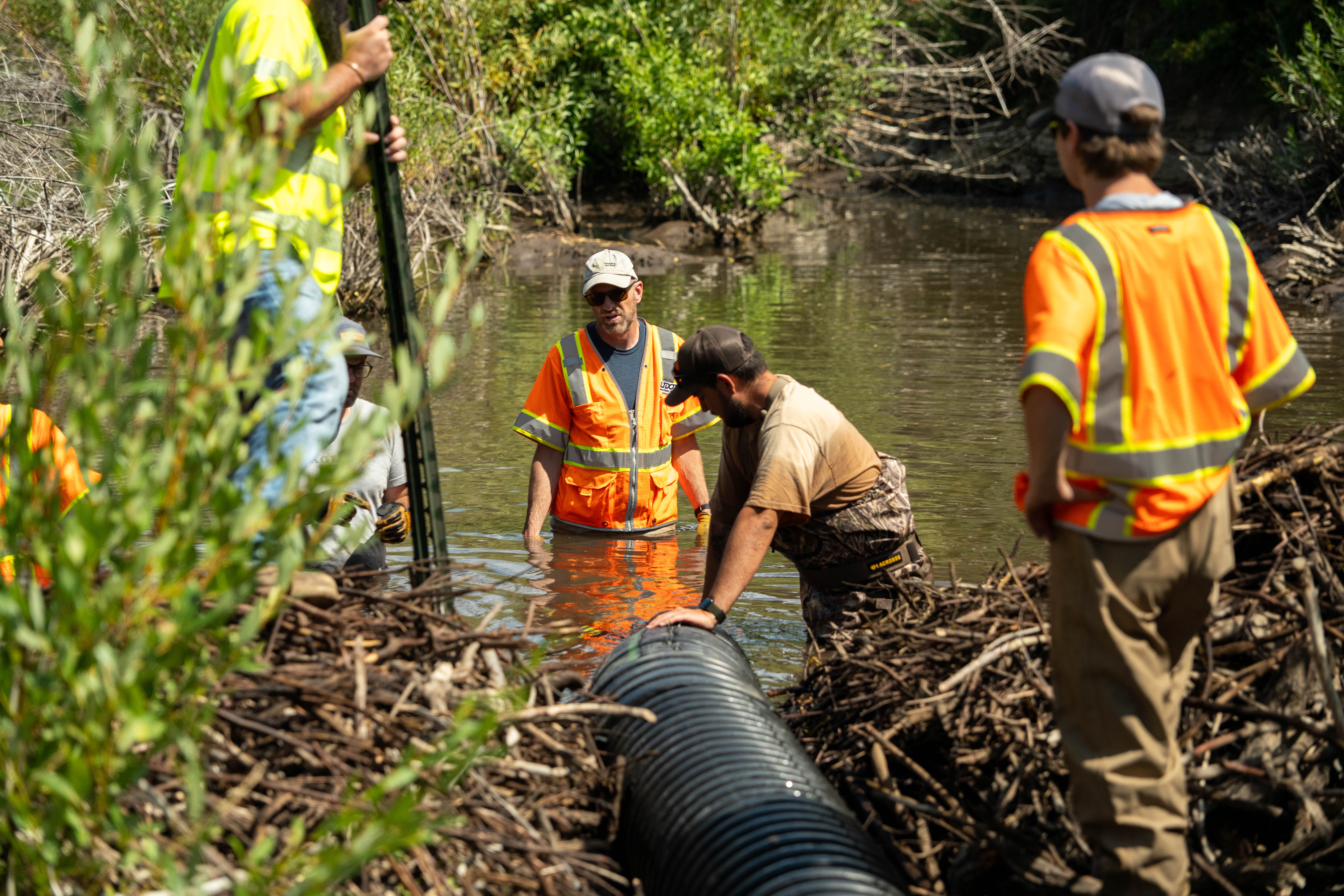 UDOT tries a new approach to address its beaver problem in Logan Canyon