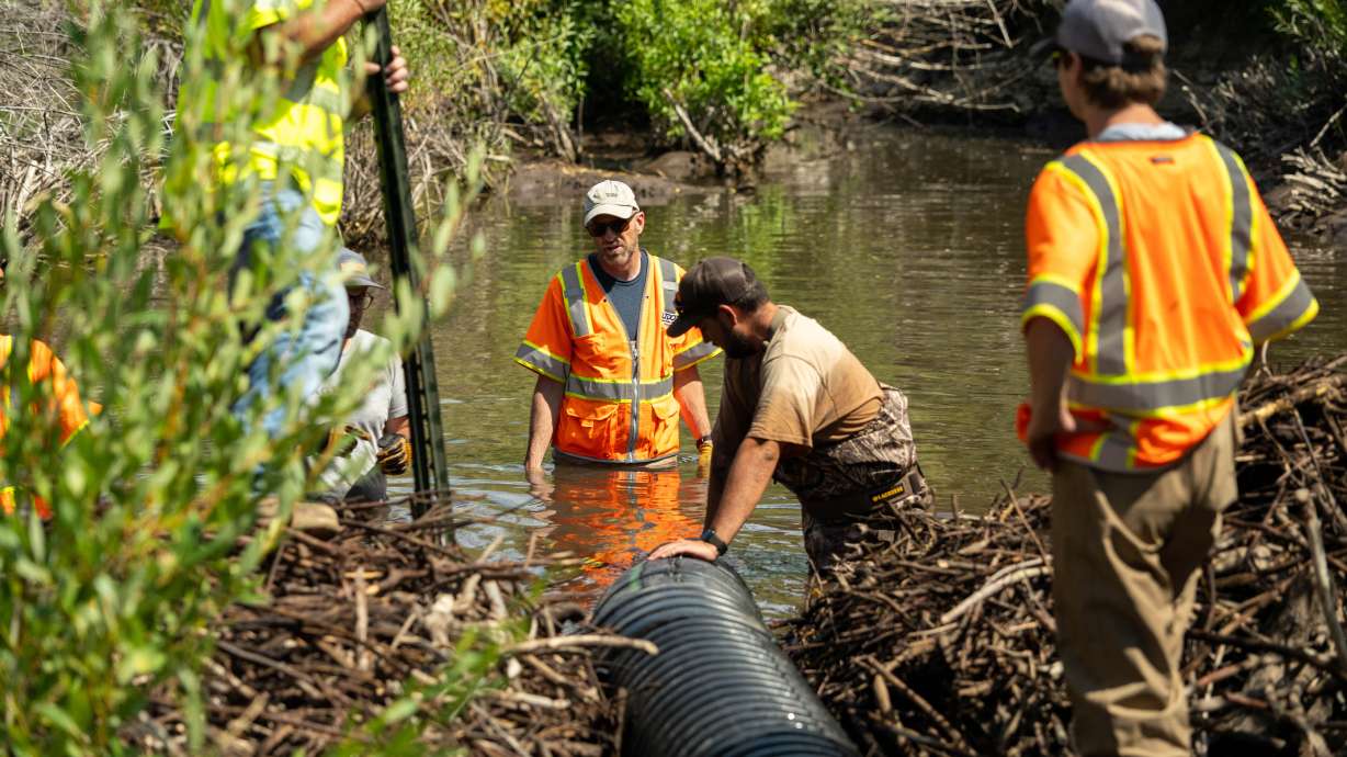 Utah transportation officials and local wildlife biologists install new pond levelers at a beaver dam along Beaver Creek in Logan Canyon. The state said Thursday that they've added three of them as part of a plan to reduce road damage while coexisting with beavers.