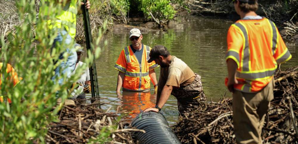 UDOT tries a new approach to address its beaver problem in Logan Canyon