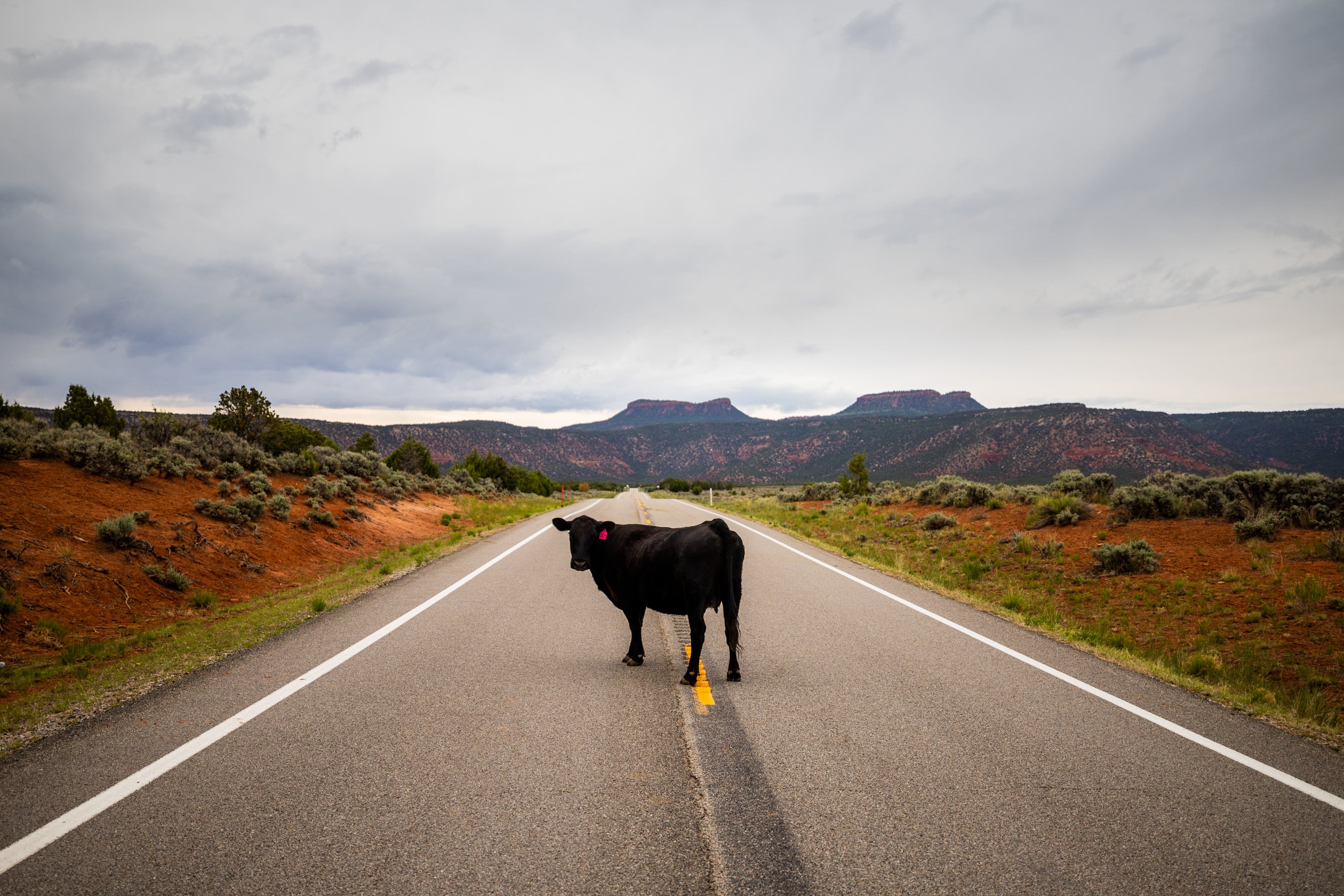 Trump reduced Bears Ears by 91%. What does the law really say?