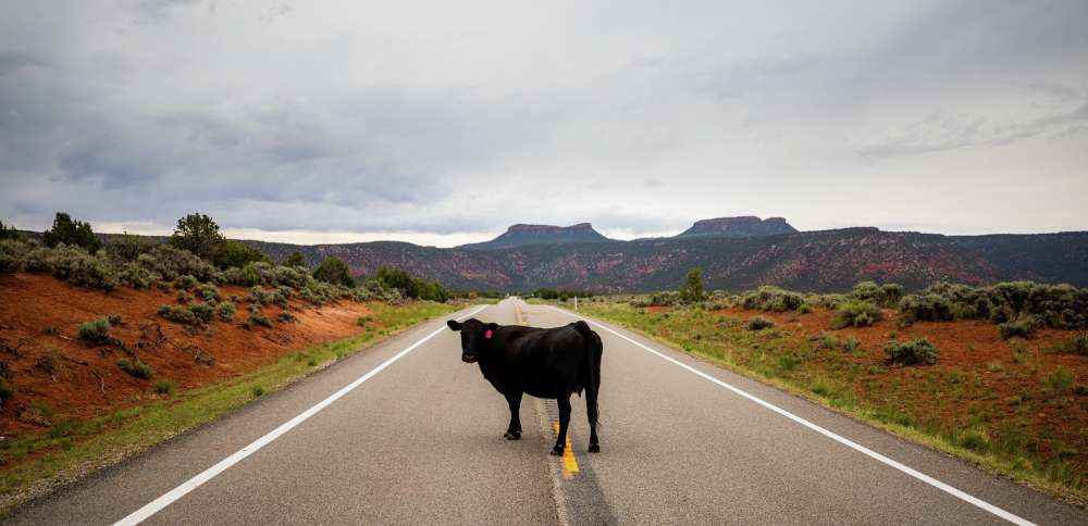 Trump reduced Bears Ears by 91%. What does the law really say?