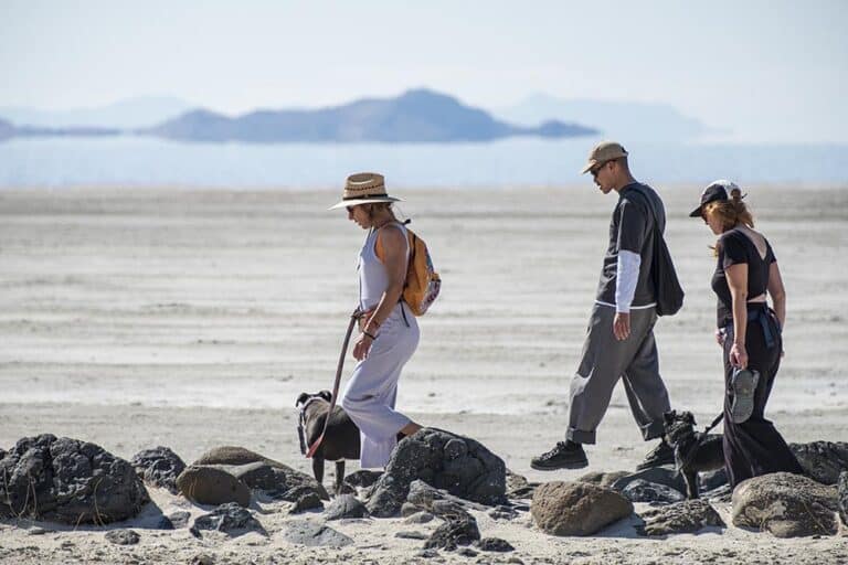 Spiral Jetty Community Meet-up
