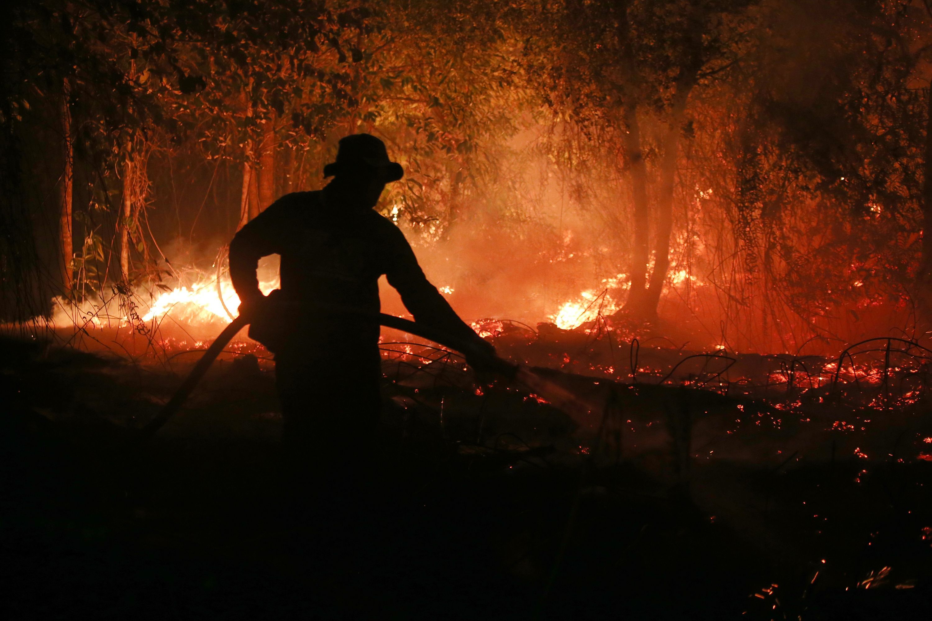A firefighter tries to extinguish a wildfire burning through a peatland forest in Pulang Pisau, Indonesia, on September 5. The fires are one of El Niño's signatures, which has brought bone dry conditions to the country that set the stage for unusually intense blazes.