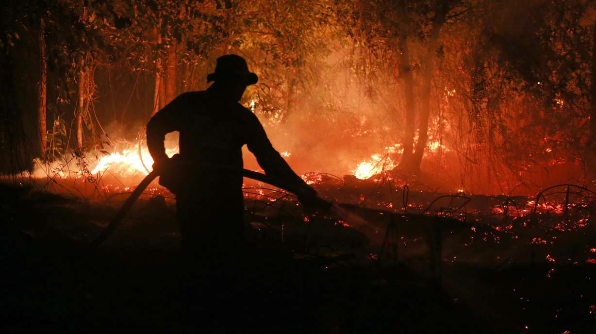 A firefighter tries to extinguish a wildfire burning through a peatland forest in Pulang Pisau, Indonesia, on September 5. The fires are one of El Niño's signatures, which has brought bone dry conditions to the country that set the stage for unusually intense blazes.