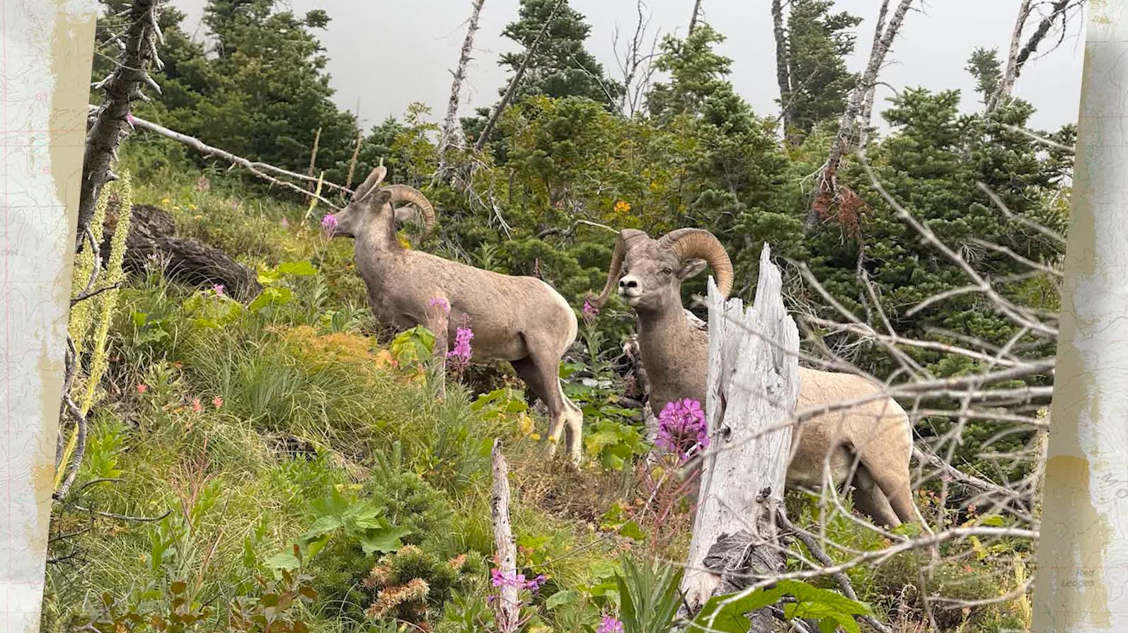 KSL Outdoors Snapshot of the Week: September 12, 2026