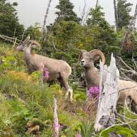KSL Outdoors Snapshot of the Week: September 12, 2026