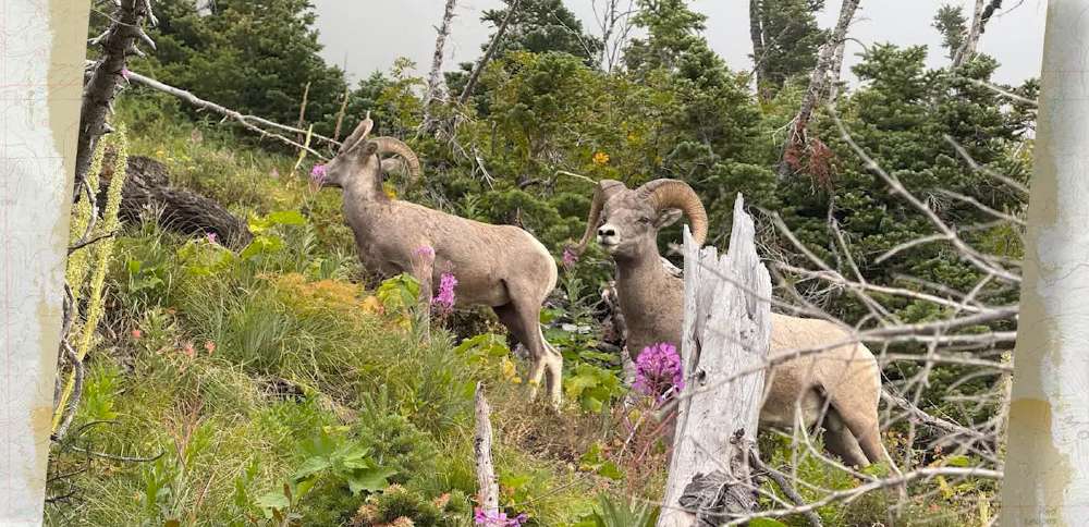 KSL Outdoors Snapshot of the Week: September 12, 2026