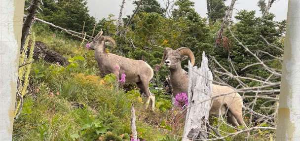 KSL Outdoors Snapshot of the Week: September 12, 2026