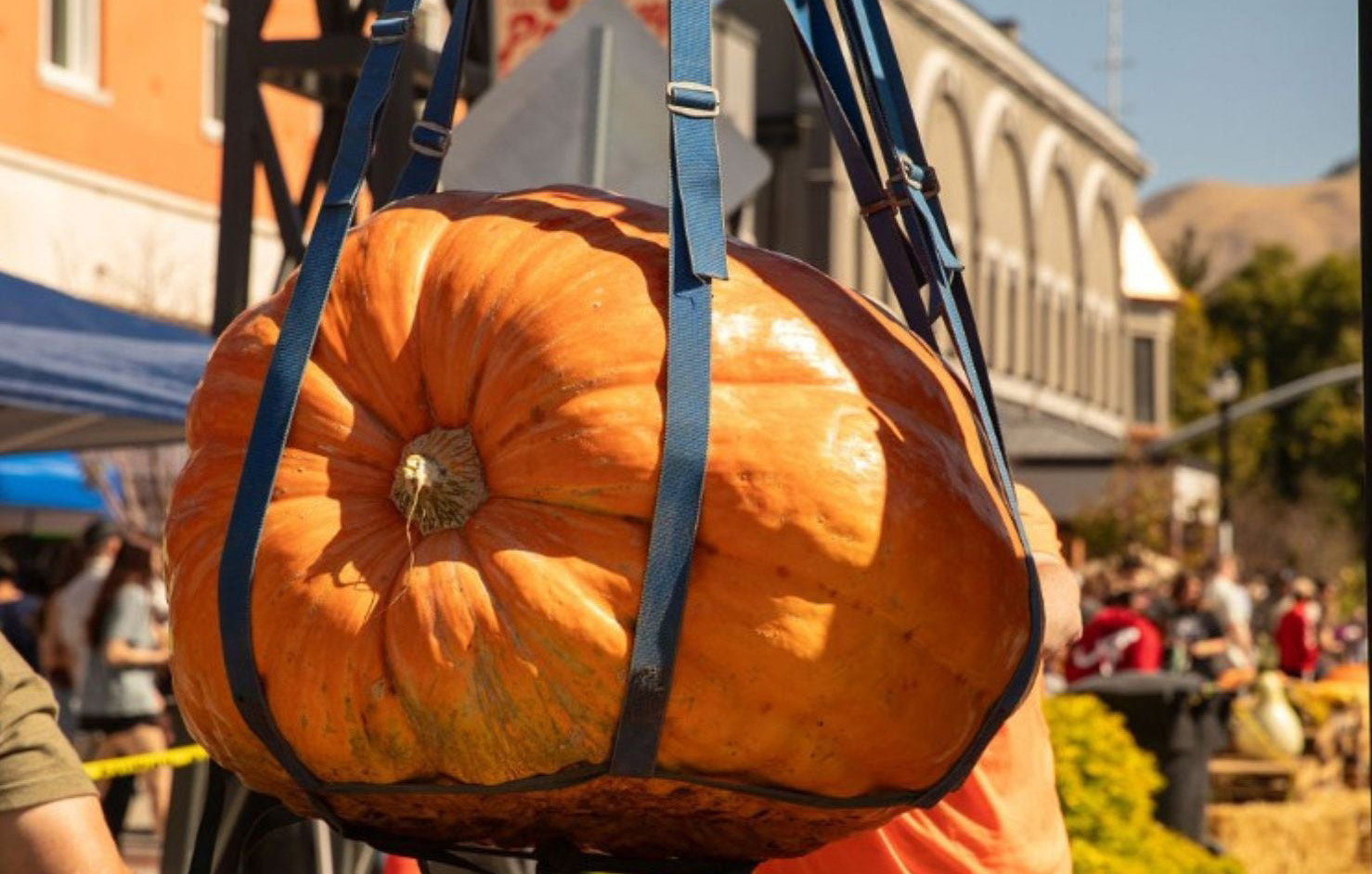 Center Street Giant Pumpkin Festival is back — bigger than ever