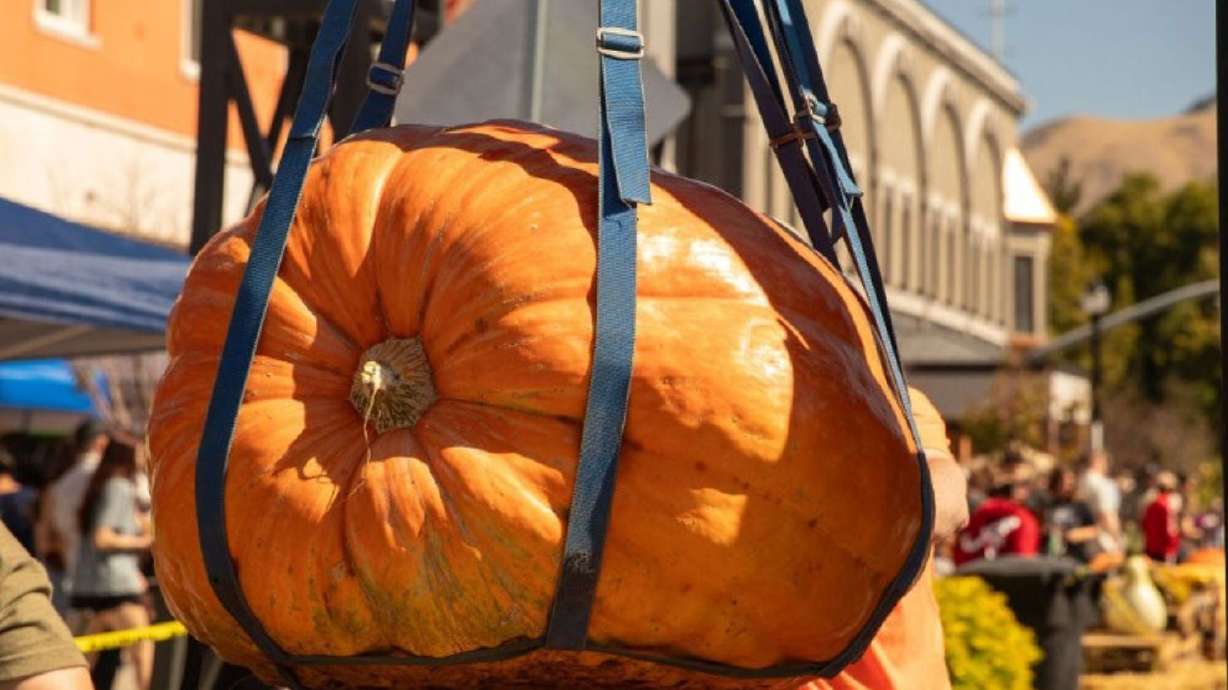 Center Street Giant Pumpkin Festival is back — bigger than ever