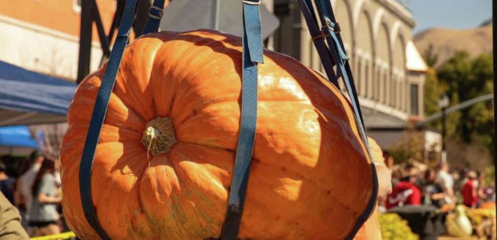 Center Street Giant Pumpkin Festival is back — bigger than ever