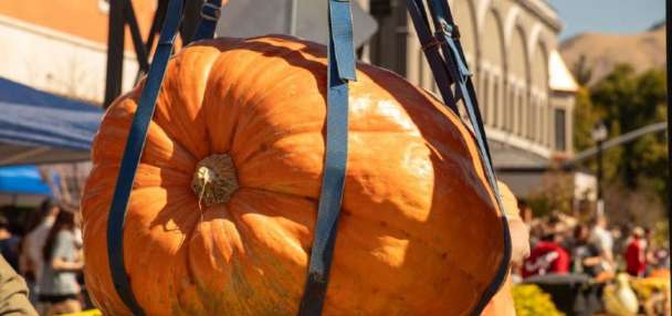 Center Street Giant Pumpkin Festival is back — bigger than ever