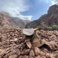 'I'm dealing with survivor's guilt': Grand Canyon flash flood survivors share their stories