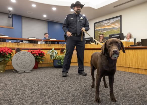 Park City police K-9 seriously injured after jumping from freeway overpass