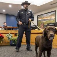 Park City police K-9 seriously injured after jumping from freeway overpass