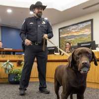 Park City police K-9 seriously injured after jumping from freeway overpass