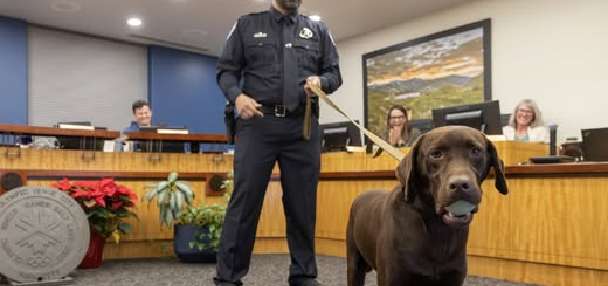 Park City police K-9 seriously injured after jumping from freeway overpass