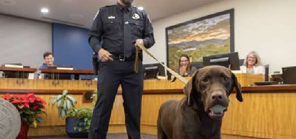 Park City police K-9 seriously injured after jumping from freeway overpass
