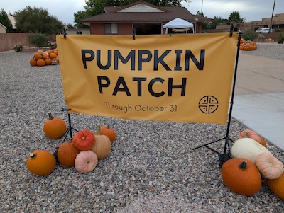 Pumpkin Patch at Promise House