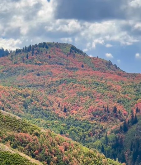 Have You Seen This? Countdown to fall