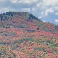 Have You Seen This? Countdown to fall