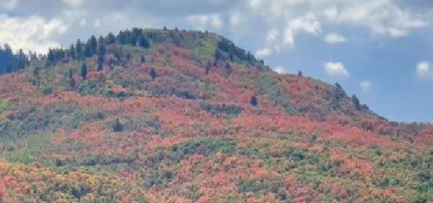 Have You Seen This? Countdown to fall