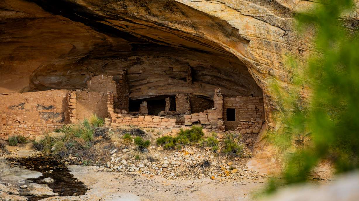 Butler Wash Ruins, a cliff dwelling that was built and occupied by the Ancestral Puebloans in about 1200 A.D., at Bears Ears National Monument on June 4, 2025. Sixteen current or former local leaders in Utah joined a letter sent to Interior Secretary Doug Burgum, urging him to reconsider recent policies they say have threatened public lands.