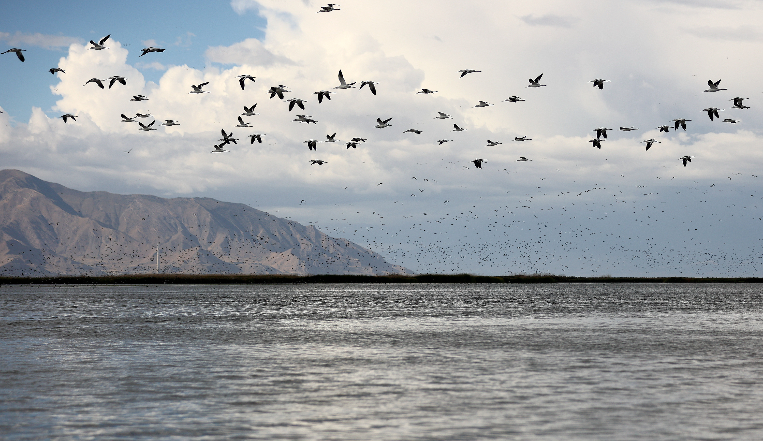 Birds fly over Farmington Bay on the eastern side of the Great Salt Lake on Thursday.