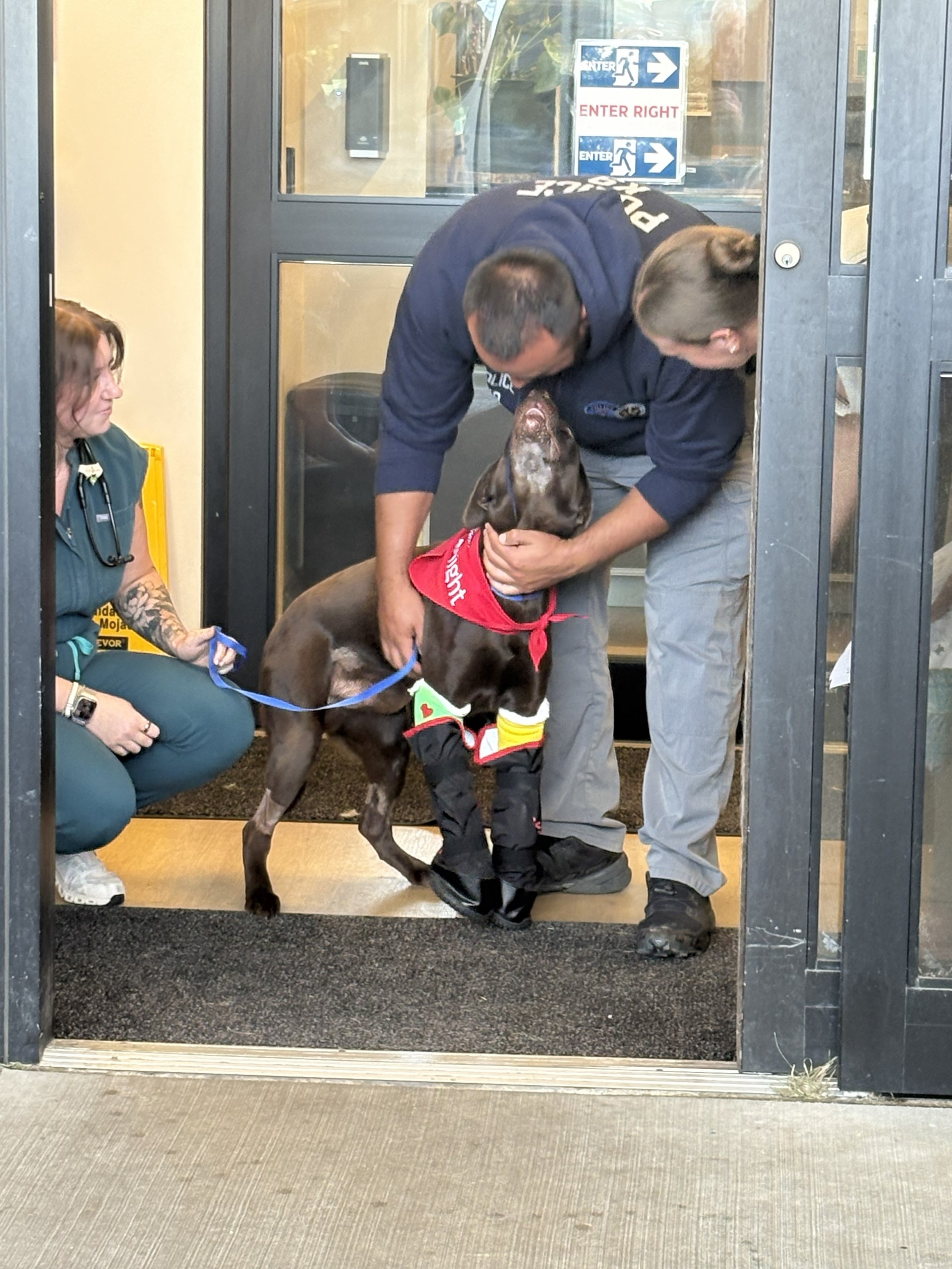 'Bruno,' the Park City police K-9 injured from jumping off an overpass, is home