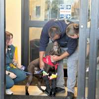 'Bruno,' the Park City police K-9 injured from jumping off an overpass, is home