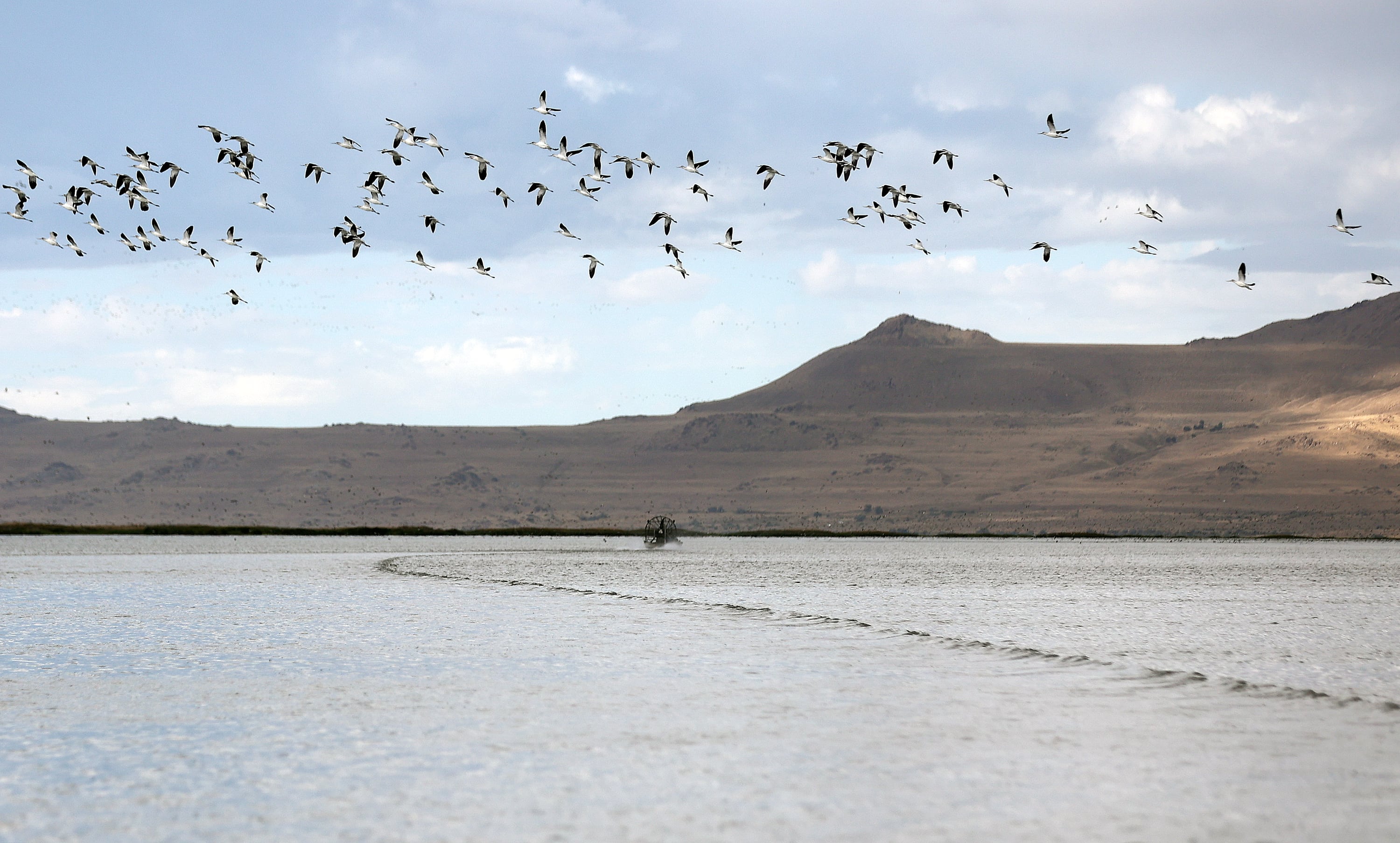 Many groups are trying to save the Great Salt Lake. Here's how they can better collaborate